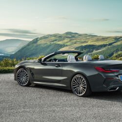 2019 BMW 8