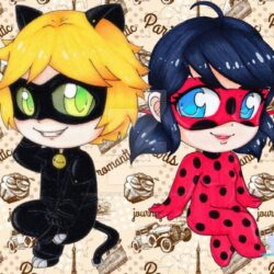 Miraculous Tales of Ladybug and Cat Noir by Hanami