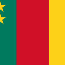 Cameroon Countries Flag Picture