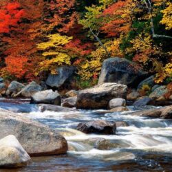 Misc: White Mountains New Hampshire Autumn Leaves Trees Rocks Stream