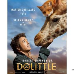 Dolittle Movie Wallpapers