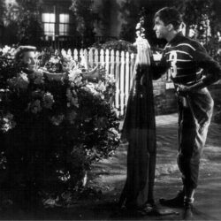Picture of It’s a Wonderful Life
