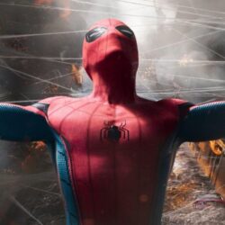 Review: Spider