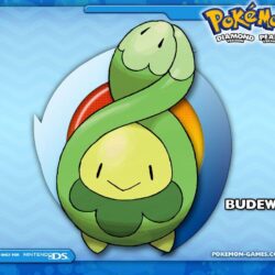 desktop budew pokemon anime