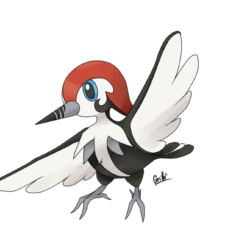 Pikipek Evolution by Grillo by GrilloGrillao