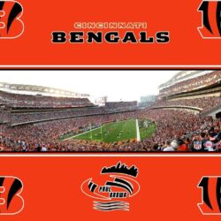 Cincinnati Bengals stadium wallpapers