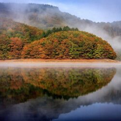 nature, Landscape, Trees, Luxemburg, Forest, Water, Mist, Fall