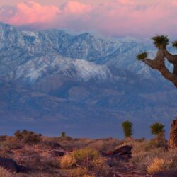 Wallpapers California Desert