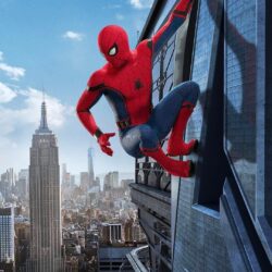 Spiderman Homecoming Wallpapers & Stills 2017