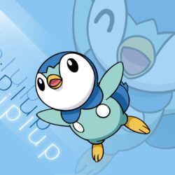 Piplup Vector Wallpapers 2 by TheIronForce