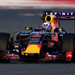 Download Daniel Ricciardo 2015 F1 Infiniti Red Bull