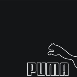 Wallpapers For > Puma Wallpapers For Iphone