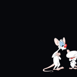 Pinky And The Brain Wallpapers and Backgrounds Image