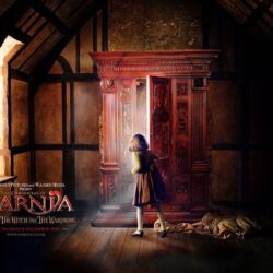 Narnia 6