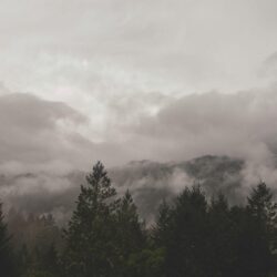 1000+ Beautiful Fog Photos