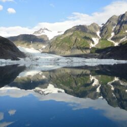 Kenai Fjords