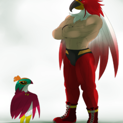 Hawlucha from Pokemon and Tizoc from King of Fighters.