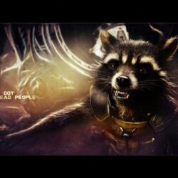 Raccoon Wallpapers