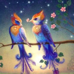Lovebird Wallpapers