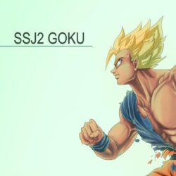 SSJ2 Goku Wallpapers by Sanoo32
