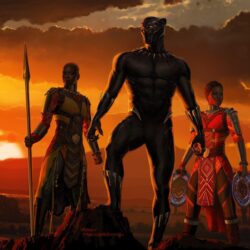 74 Black Panther HD Wallpapers