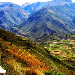 Colca Canyon Full Day :: Peru Breathtaking Trips :: Peru Tours and