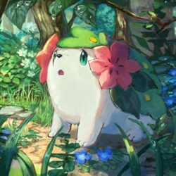 Download Pokemon Shaymin, Cute, Forest, Bubbles Wallpapers