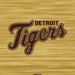 In Gallery: Detroit Tigers Wallpapers, 38 Detroit Tigers HD