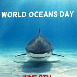 18 best World Oceans Day image