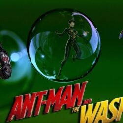 Ant Man And The Wasp HD Wallpapers 29437