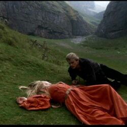 The Princess Bride image The Princess Bride HD wallpapers and