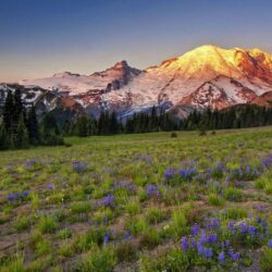 The Most Beautiful National Parks In America