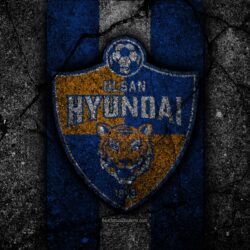 Download wallpapers Ulsan Hyundai FC, 4k, logo, K