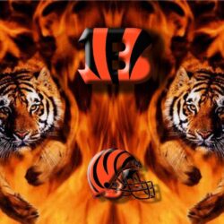 Cincinnati Bengals Two Tigers Wallpapers Nfl PX ~ Bengals