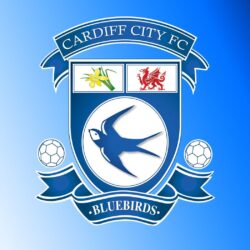 Cardiff City FC Logo Wallpapers HD