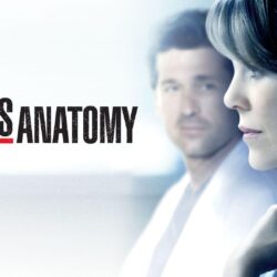 Greys Anatomy Top TV Series wallpapers HD 2016 in Grey’s Anatomy