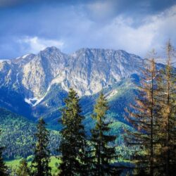 nature, Landscape, Mountain, Forest, Carpathians, Trees, Clouds