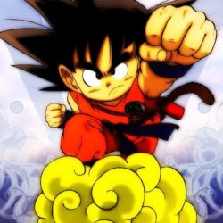 Download Son Goku Wallpapers vicvapor / Wallpapers Anime 75567