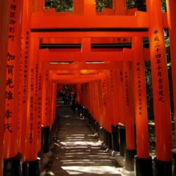 Fushimi Inari Taisha 1 Backgrounds Image for Free Download