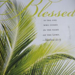 Happy Palm Sunday! : Christianity
