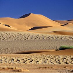 Desert: Untitled Couleurs Sable Sossusvlei Dunes Namibia Deserts