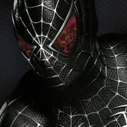 SpiderMan HD Wallpaper Backgrounds Wallpapers