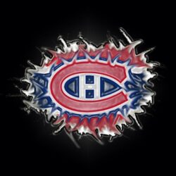 Montreal Canadiens Jaroslav Halak Wallpapers