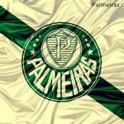 Palmeiras HD Wallpapers