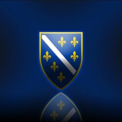 Group of Bosnia Soccer Wallpapers