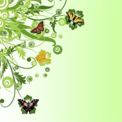 butterfly wallpapers artists