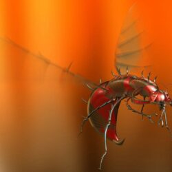 aluminum mosquito Full HD Wallpapers and Backgrounds