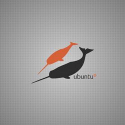 Linux Narwhals ❤ 4K HD Desktop Wallpapers for 4K Ultra HD TV • Dual