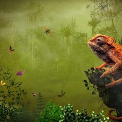 Pix For > Lizard Wallpapers