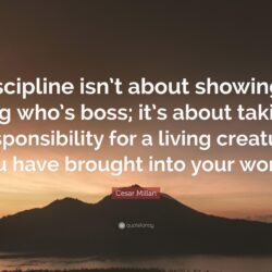 Cesar Millan Quote: “Discipline isn’t about showing a dog who’s boss